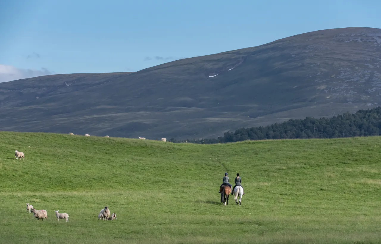 Cairngorms on Horseback