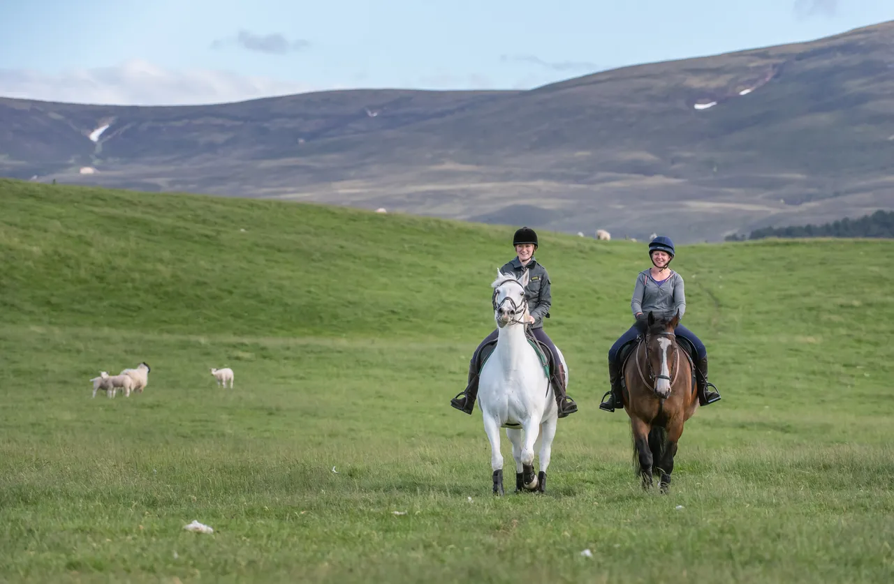Cairngorms on Horseback