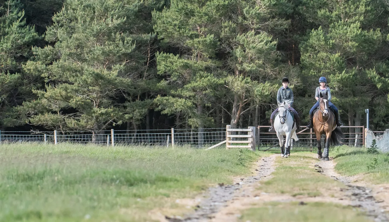 Cairngorms on Horseback