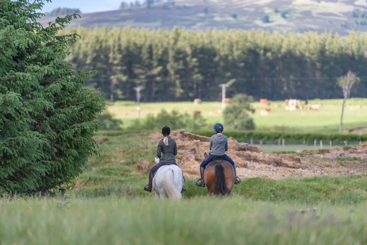Cairngorms on Horseback