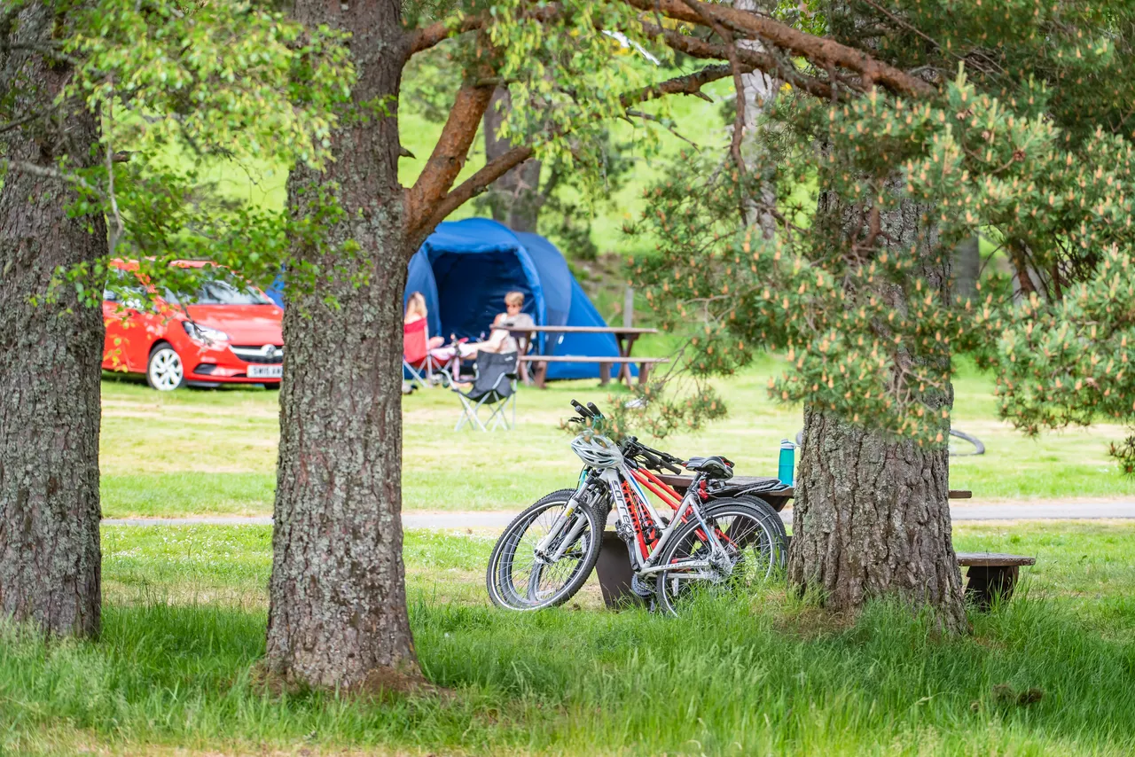 Glenmore Campsite