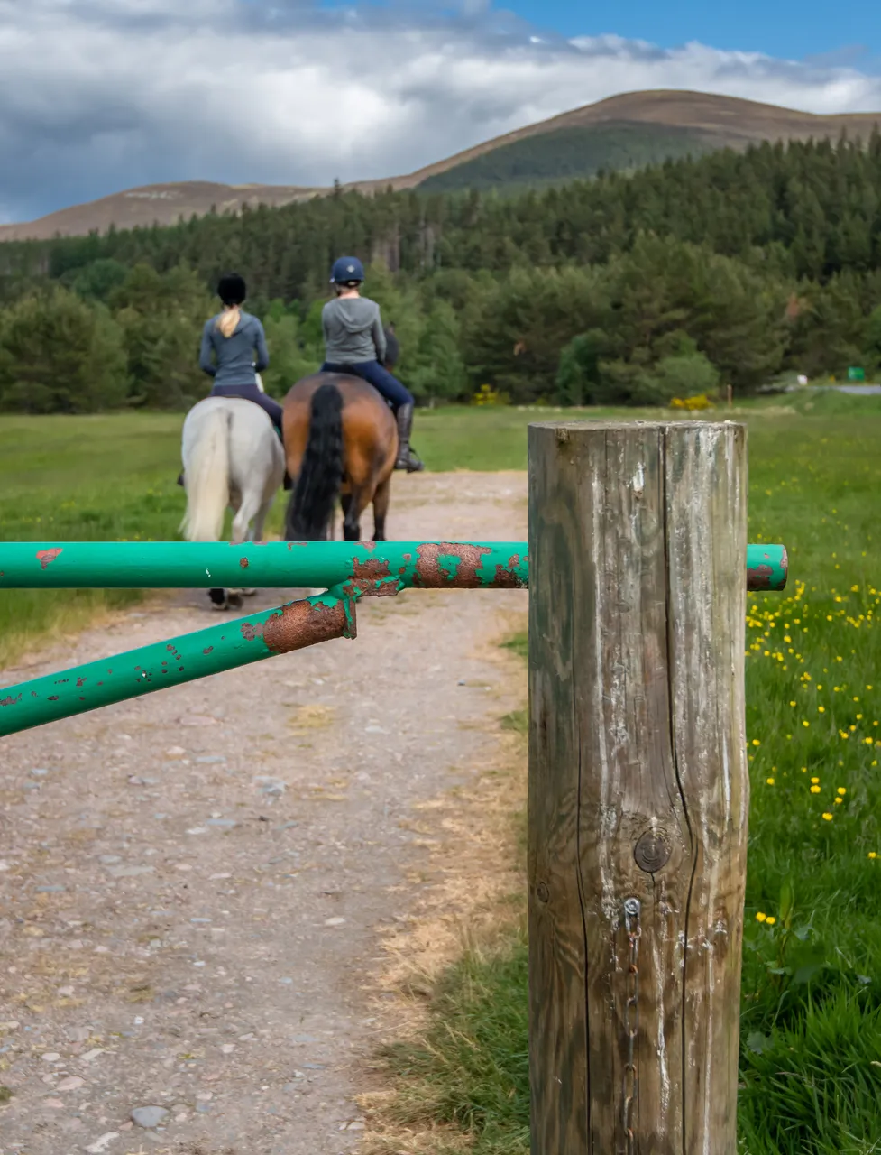 Cairngorms on Horseback