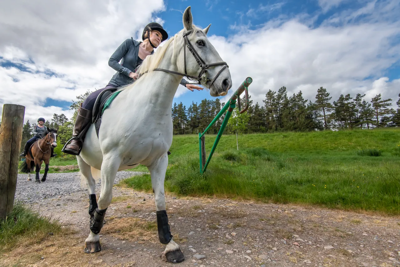 Cairngorms on Horseback