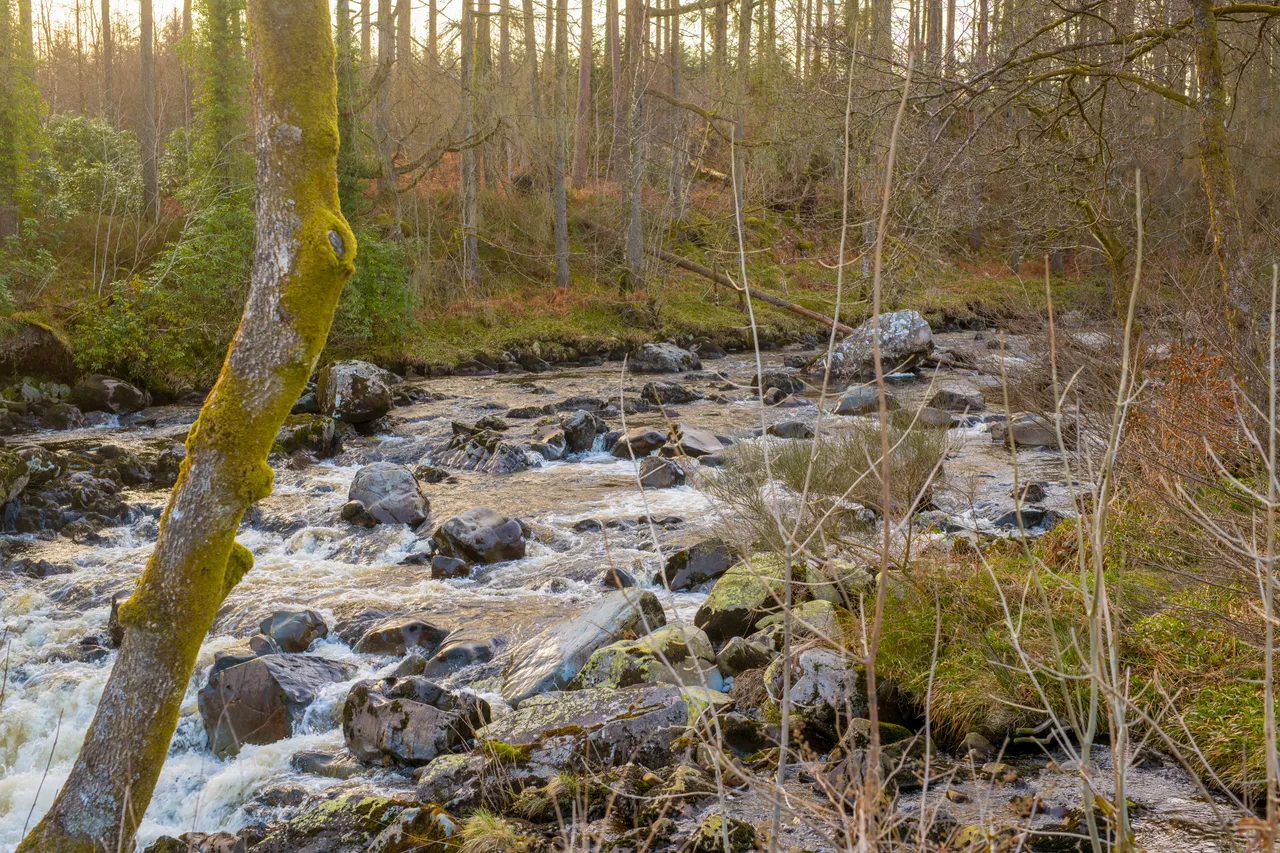 Loch Ken