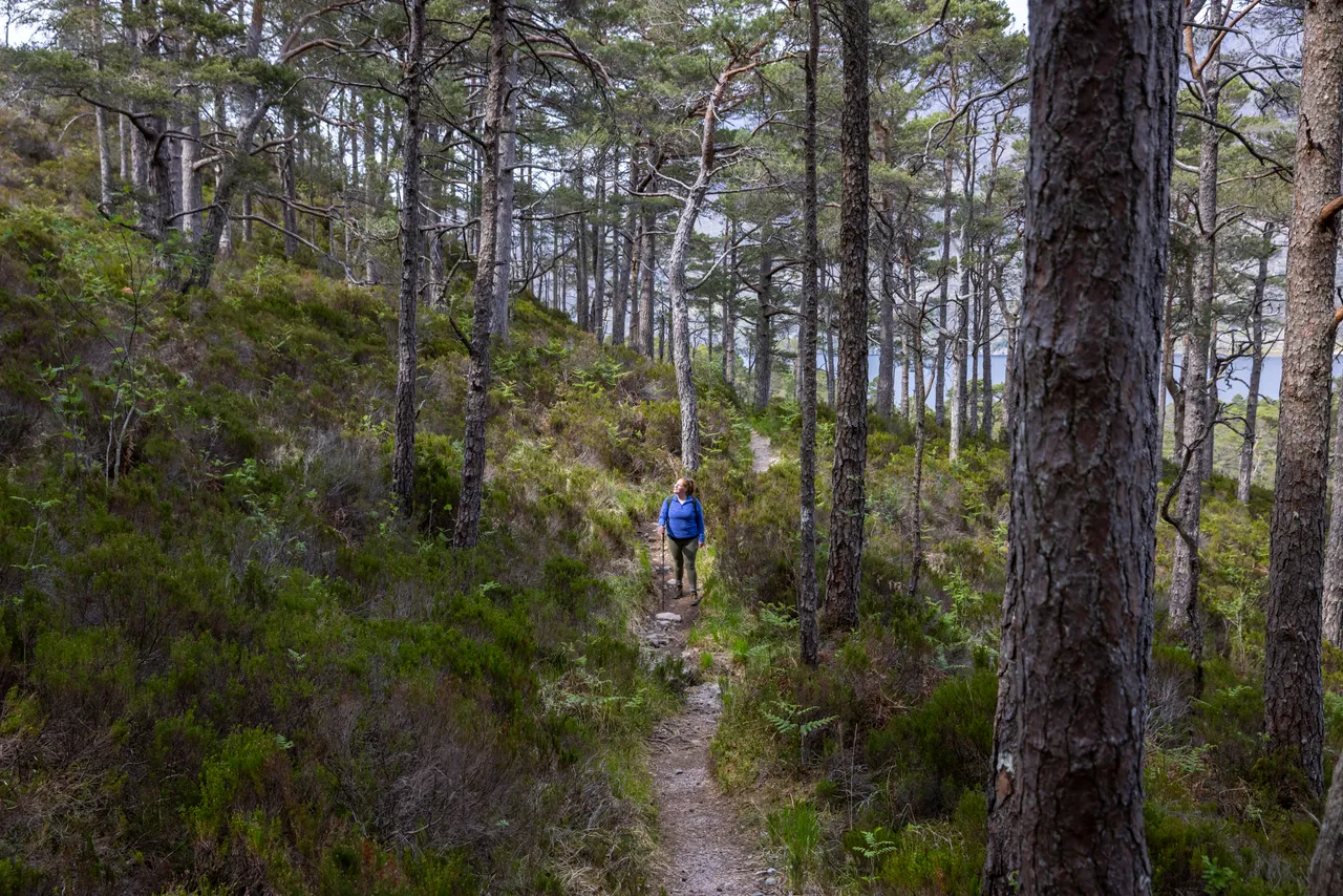 Beinn Eighe National Nature Reserve