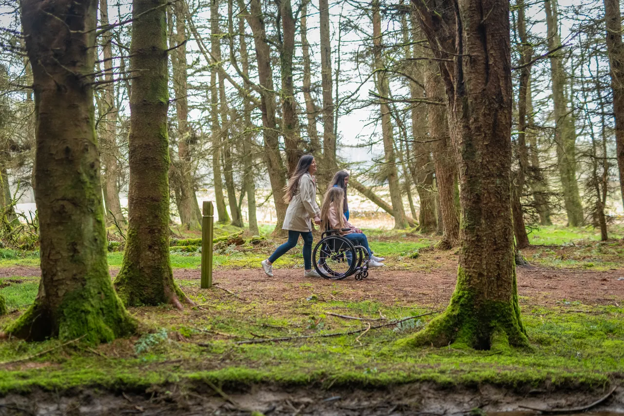 Craik Forest