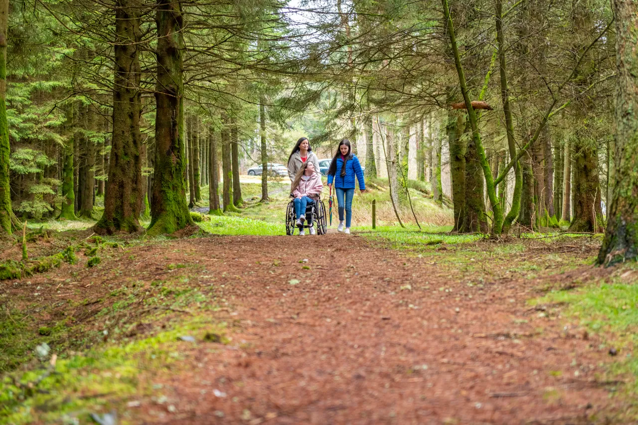 Craik Forest