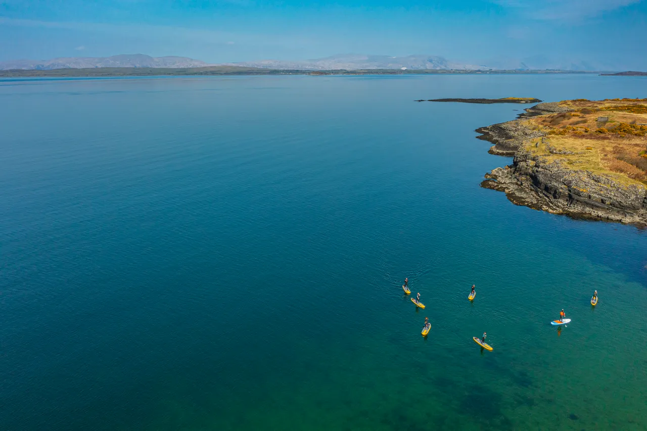 Basking Shark Scotland – SUP Tours