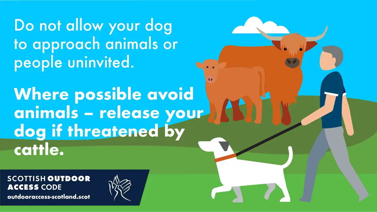 Scottish Outdoor Access Code: Dog control