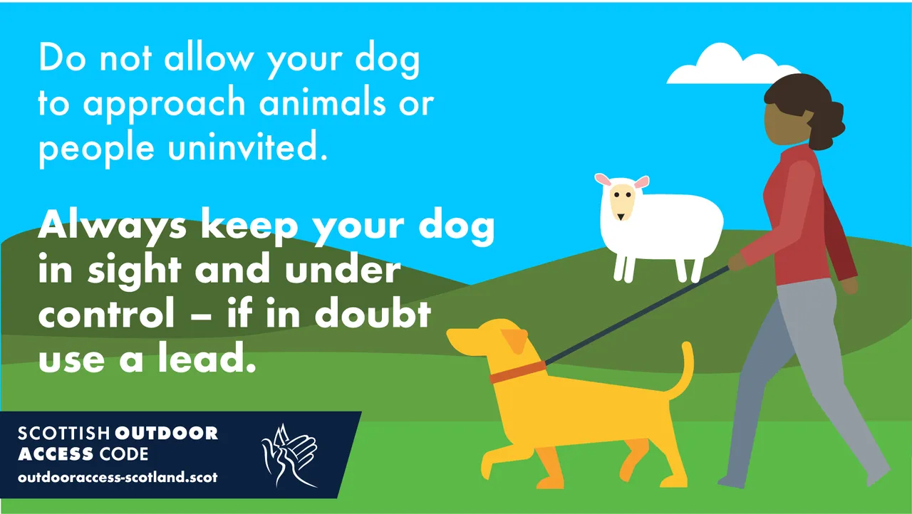 Scottish Outdoor Access Code: Keep your dog under control