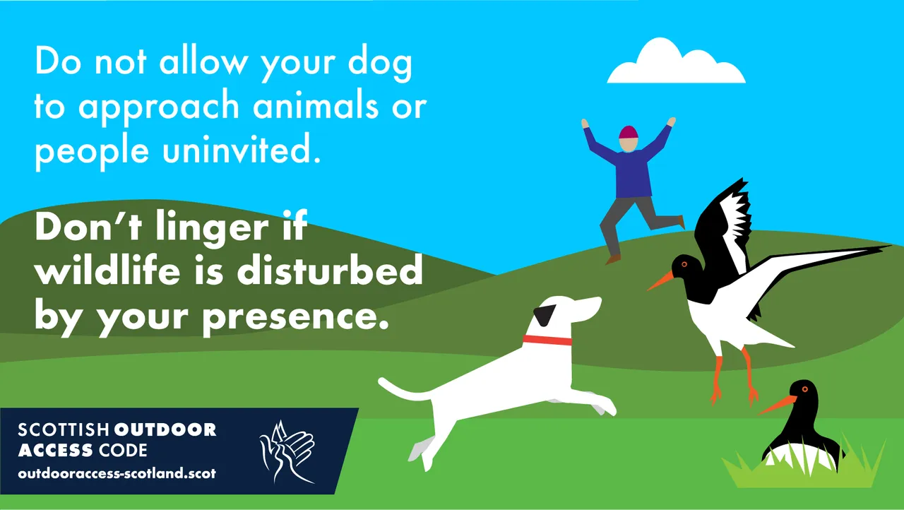 Scottish Outdoor Access Code: Keep dogs away from wildlife