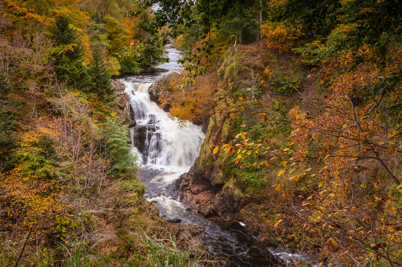 Reekie Linn