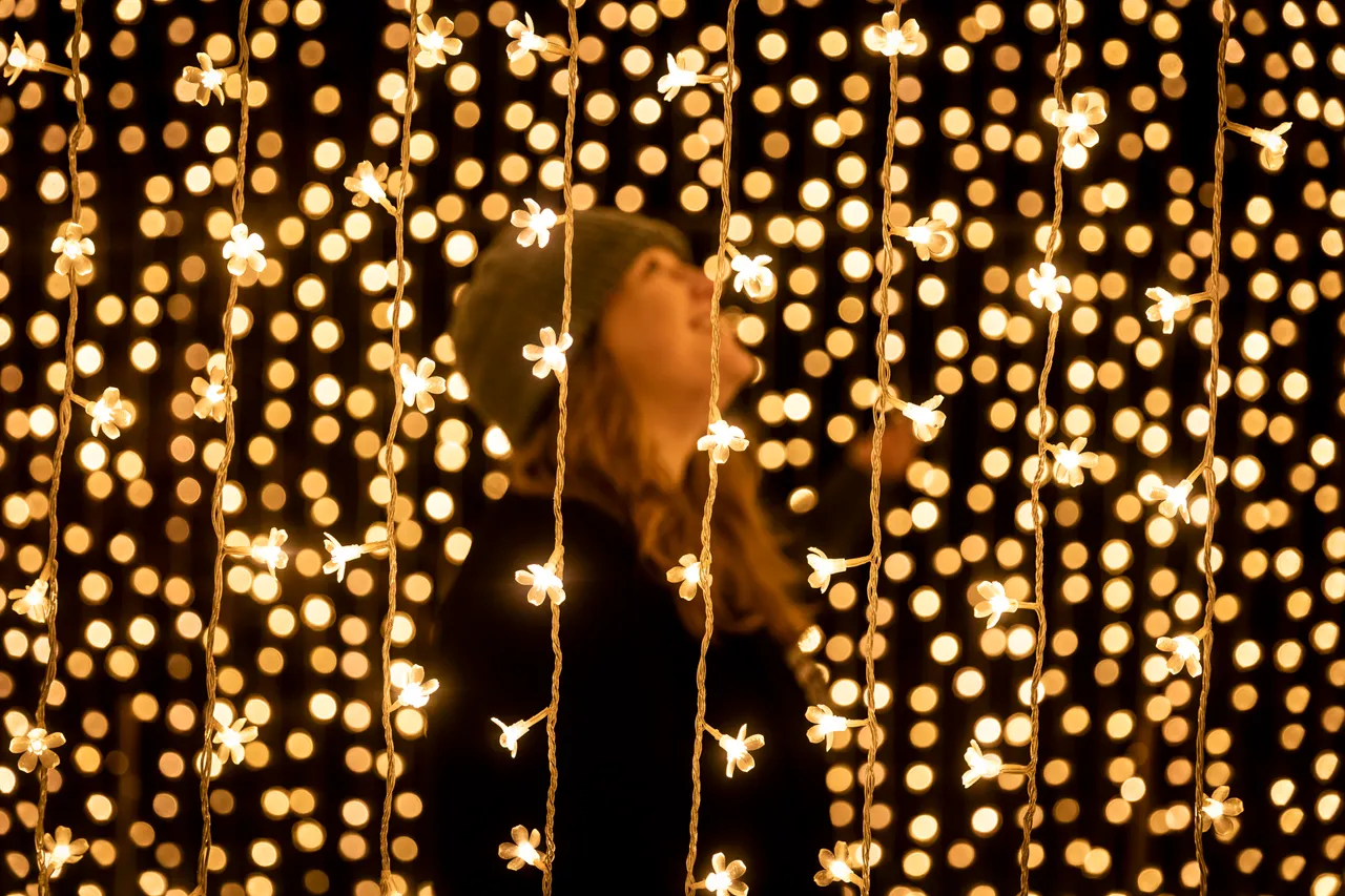Christmas at the Botanics 2020