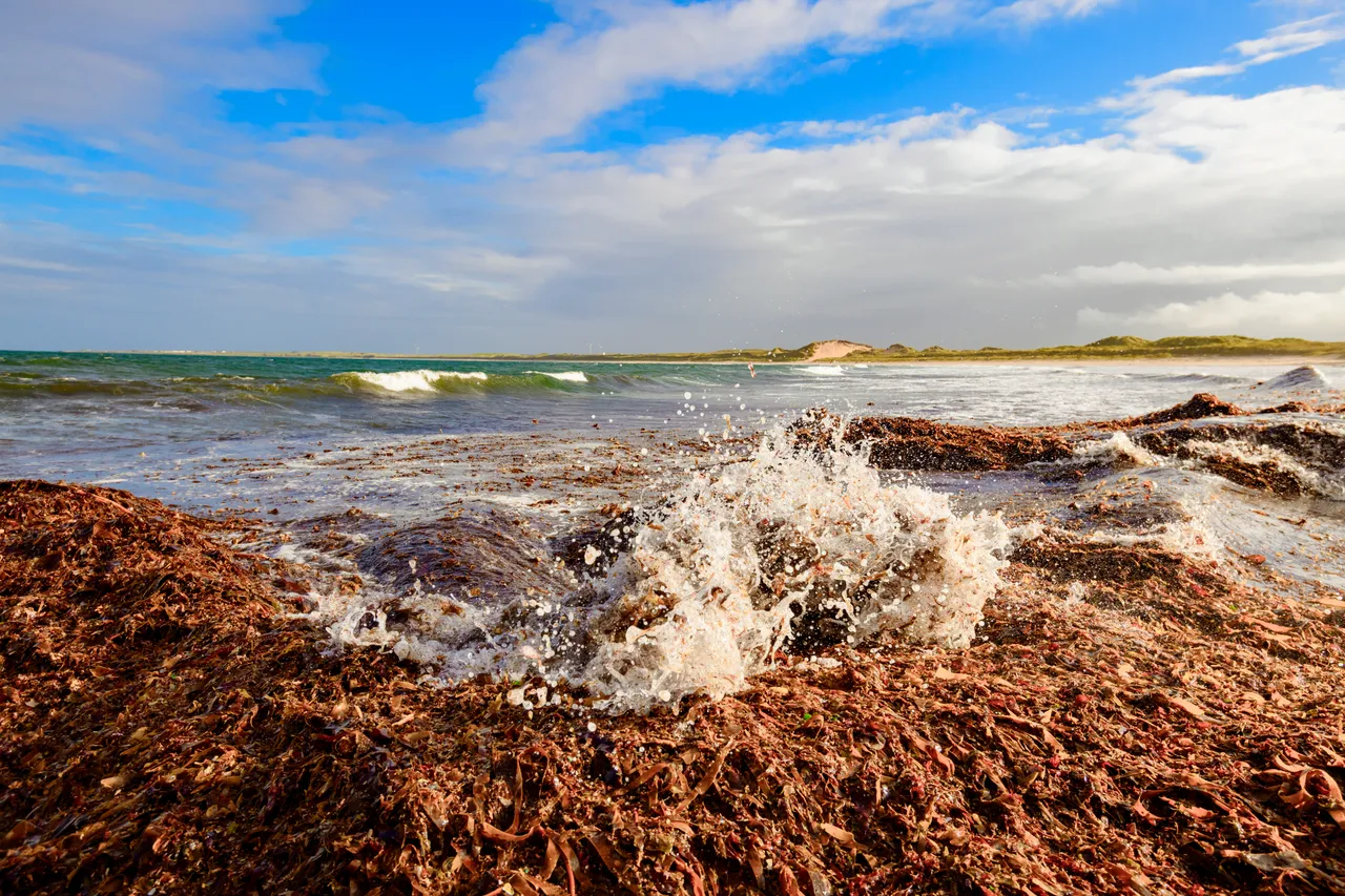 Fraserburgh Beach