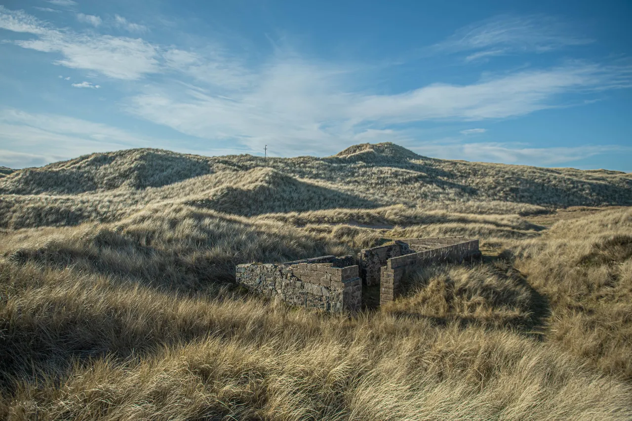 Forvie National Nature Reserve
