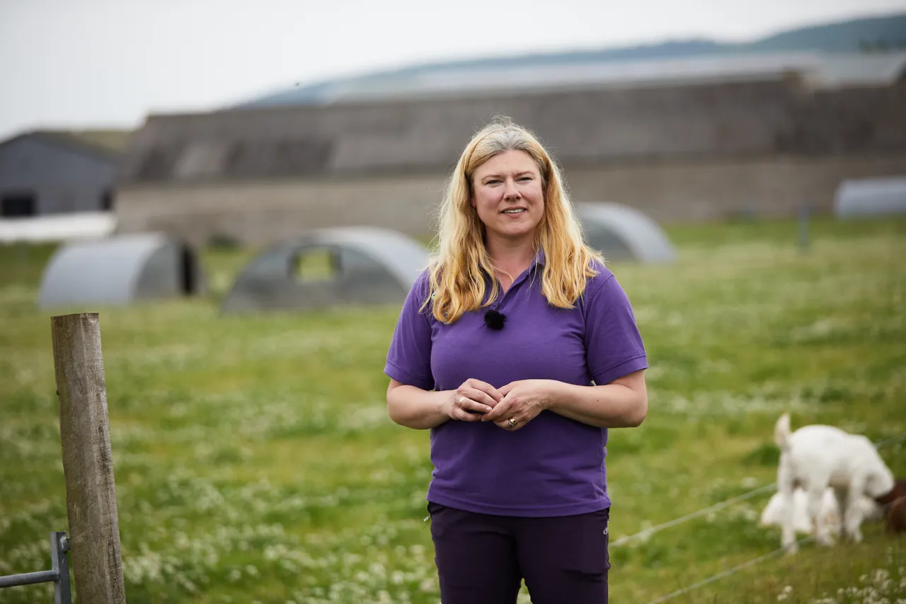 Newton Farm Holidays & Tours