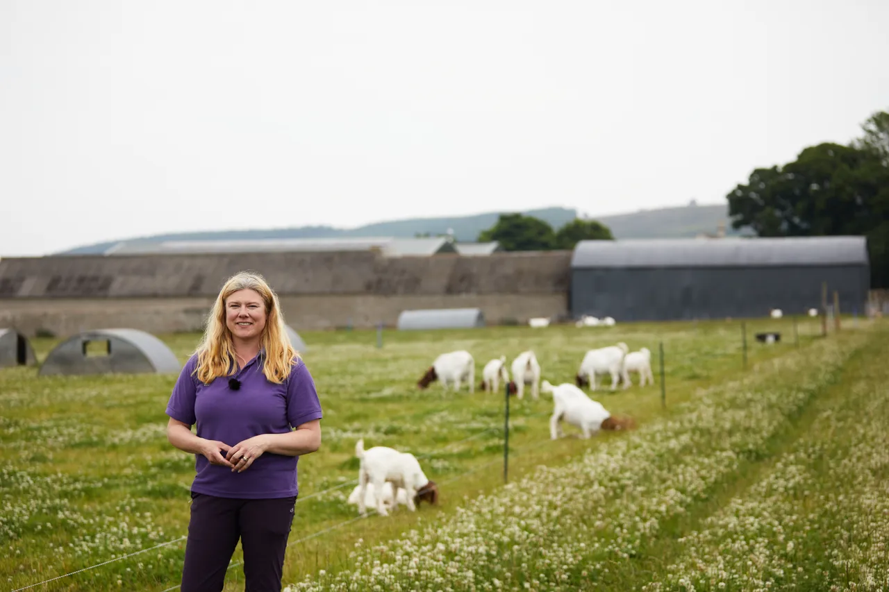 Newton Farm Holidays & Tours