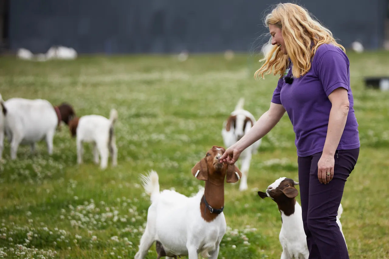 Newton Farm Holidays & Tours