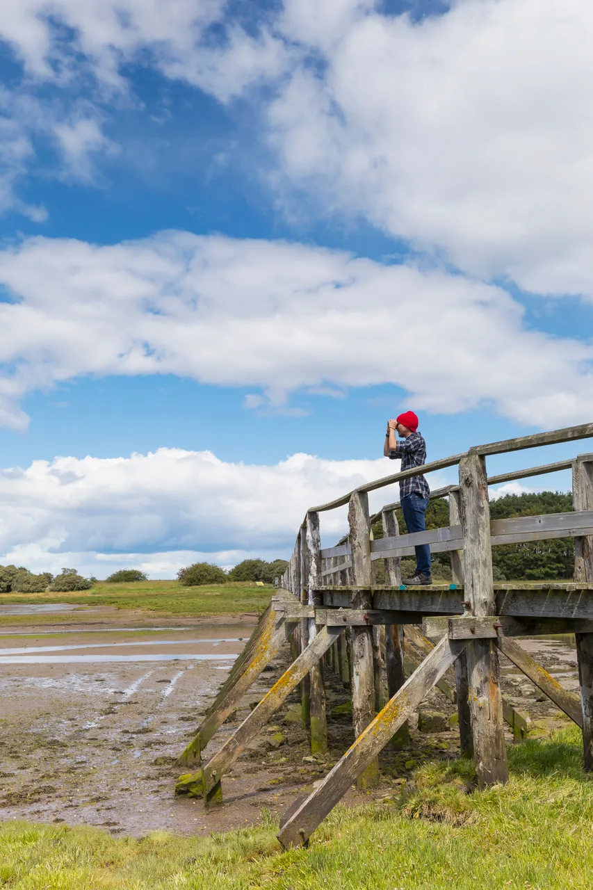 Aberlady Bay Local Nature Reserve