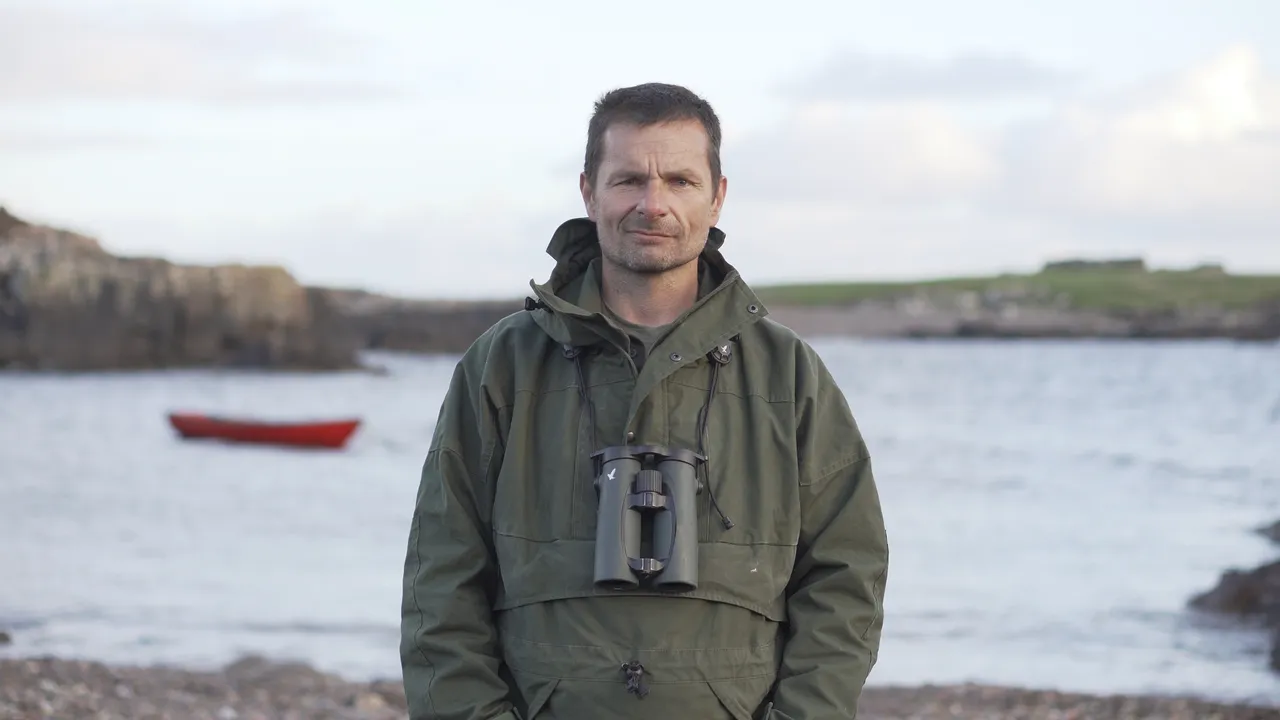 Seabirds-and-Seals – Noss Boat Tours