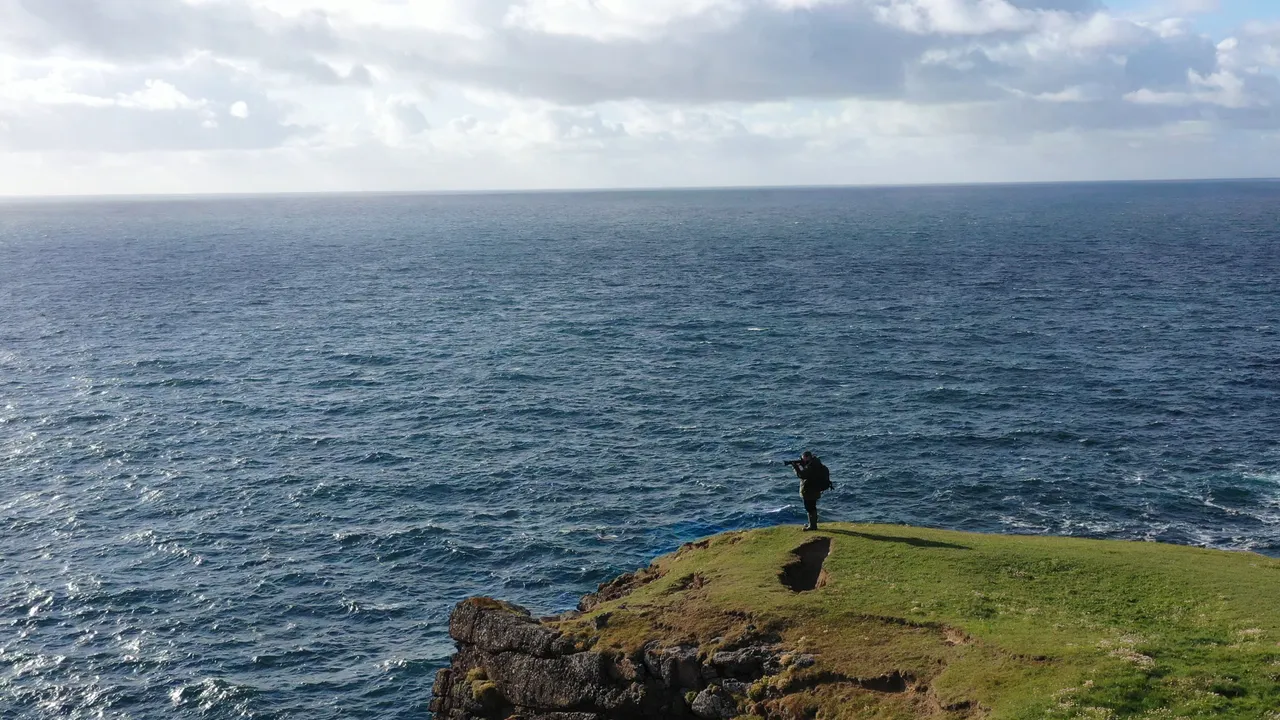 Seabirds-and-Seals – Noss Boat Tours