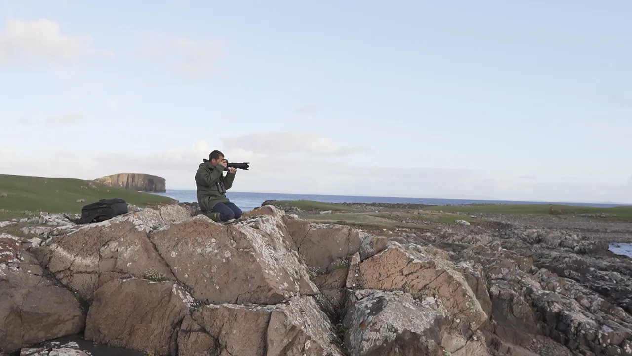 Seabirds-and-Seals – Noss Boat Tours