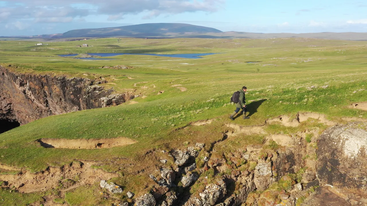 Seabirds-and-Seals – Noss Boat Tours