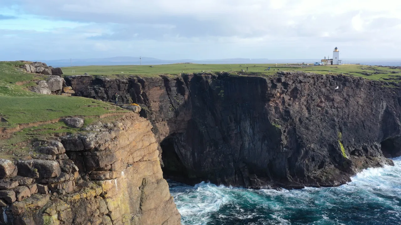 Seabirds-and-Seals – Noss Boat Tours