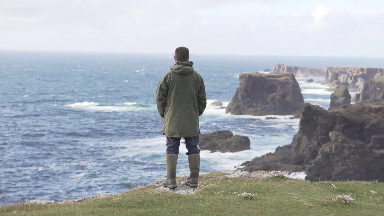 Seabirds-and-Seals – Noss Boat Tours
