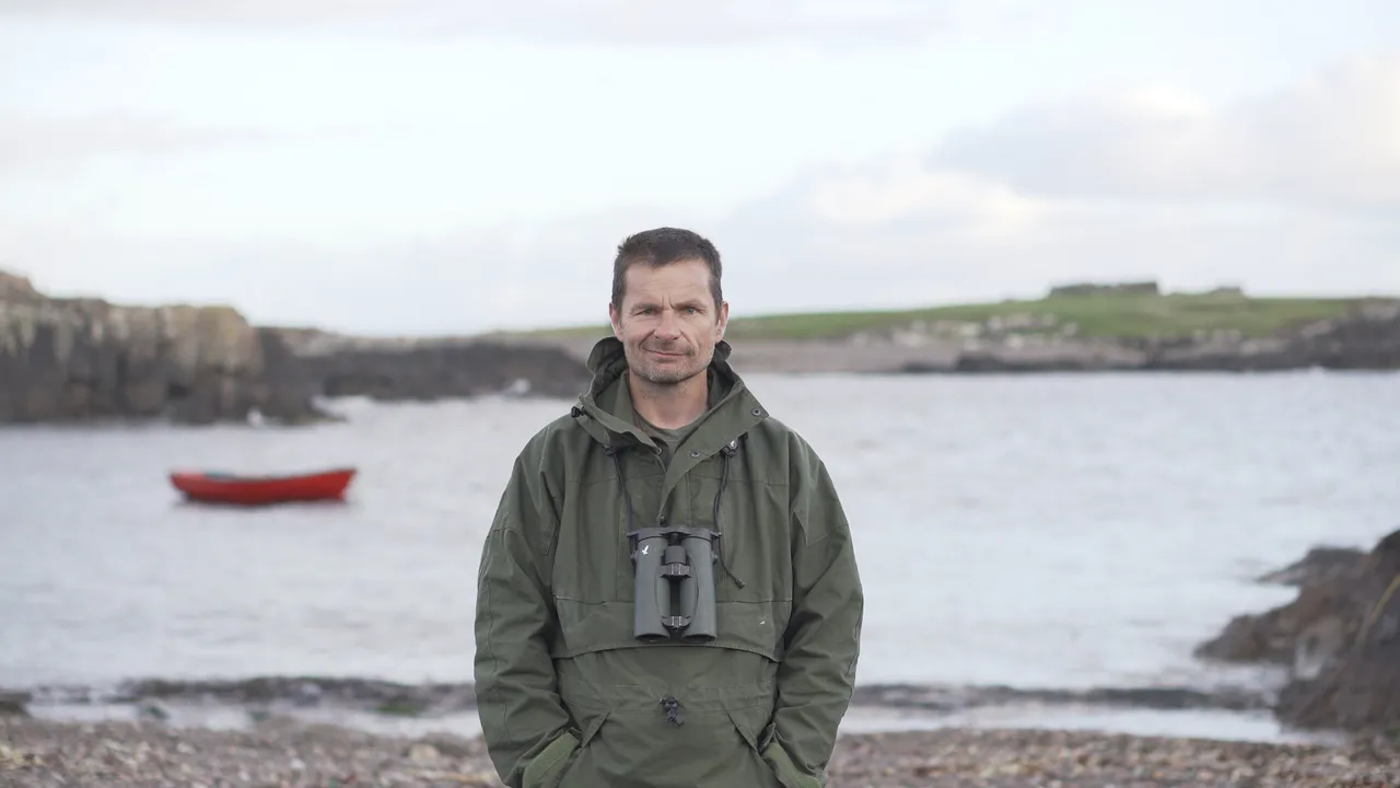 Seabirds-and-Seals – Noss Boat Tours