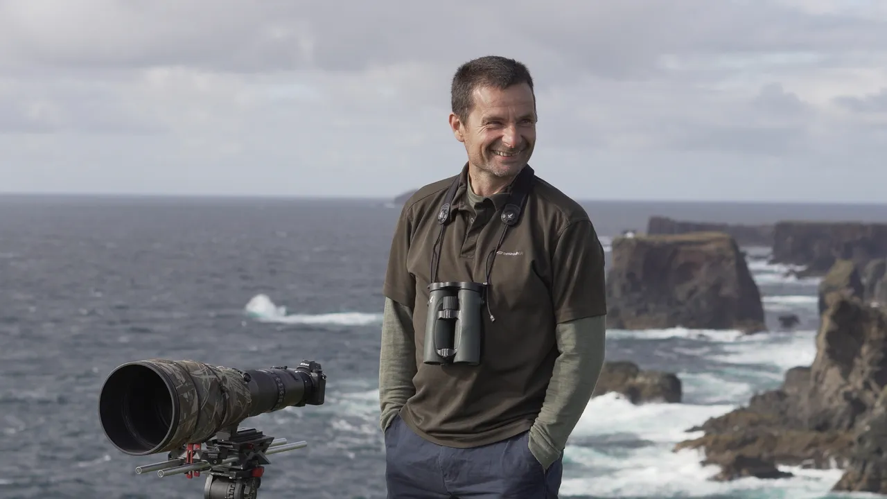 Seabirds-and-Seals – Noss Boat Tours