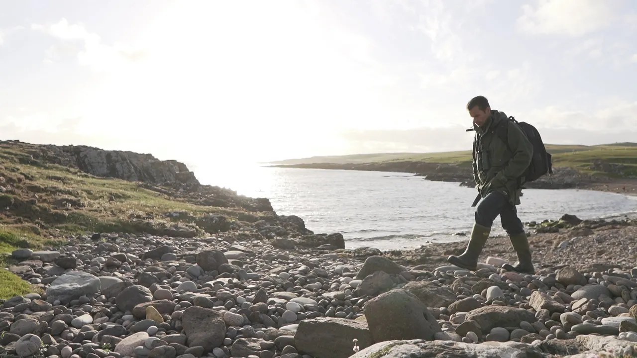 Seabirds-and-Seals – Noss Boat Tours