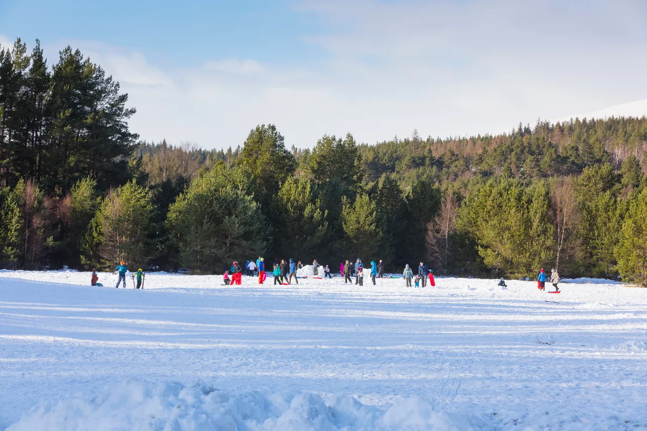 Glenmore Forest Park