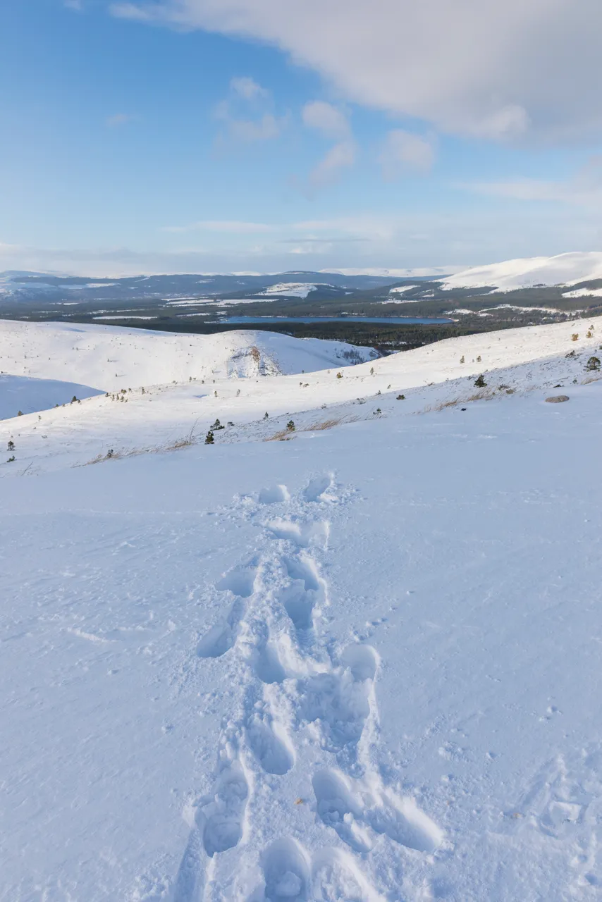Loch Morlich