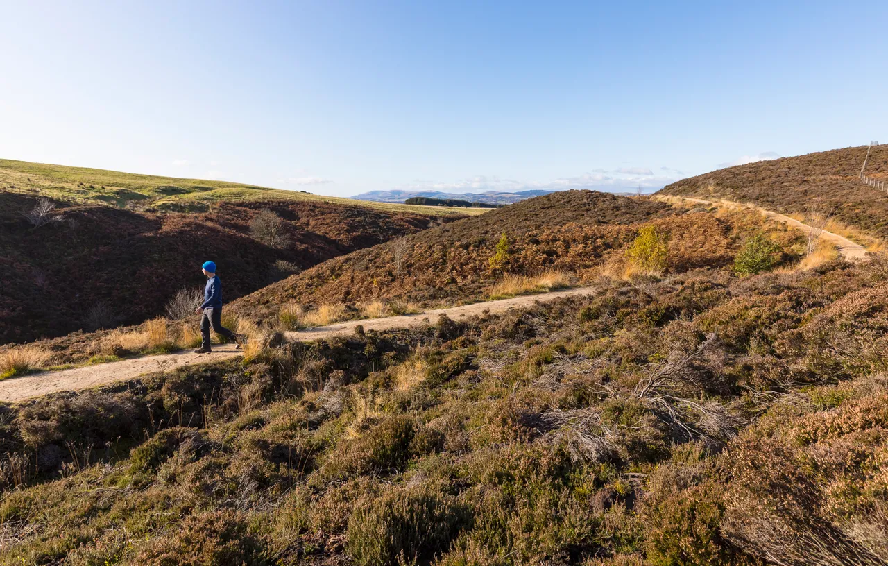 Glenvale Path