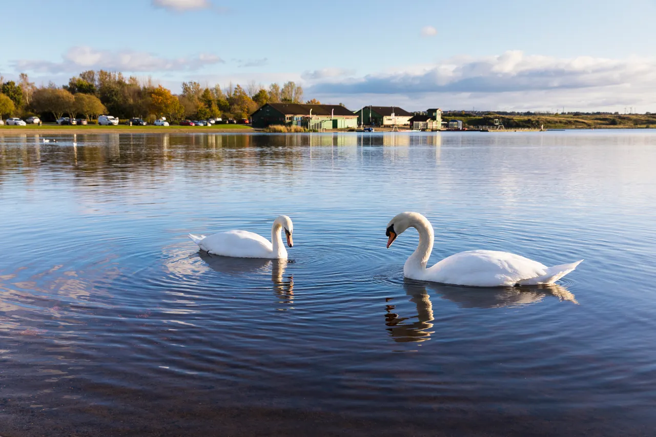 Lochore Meadows Country Park