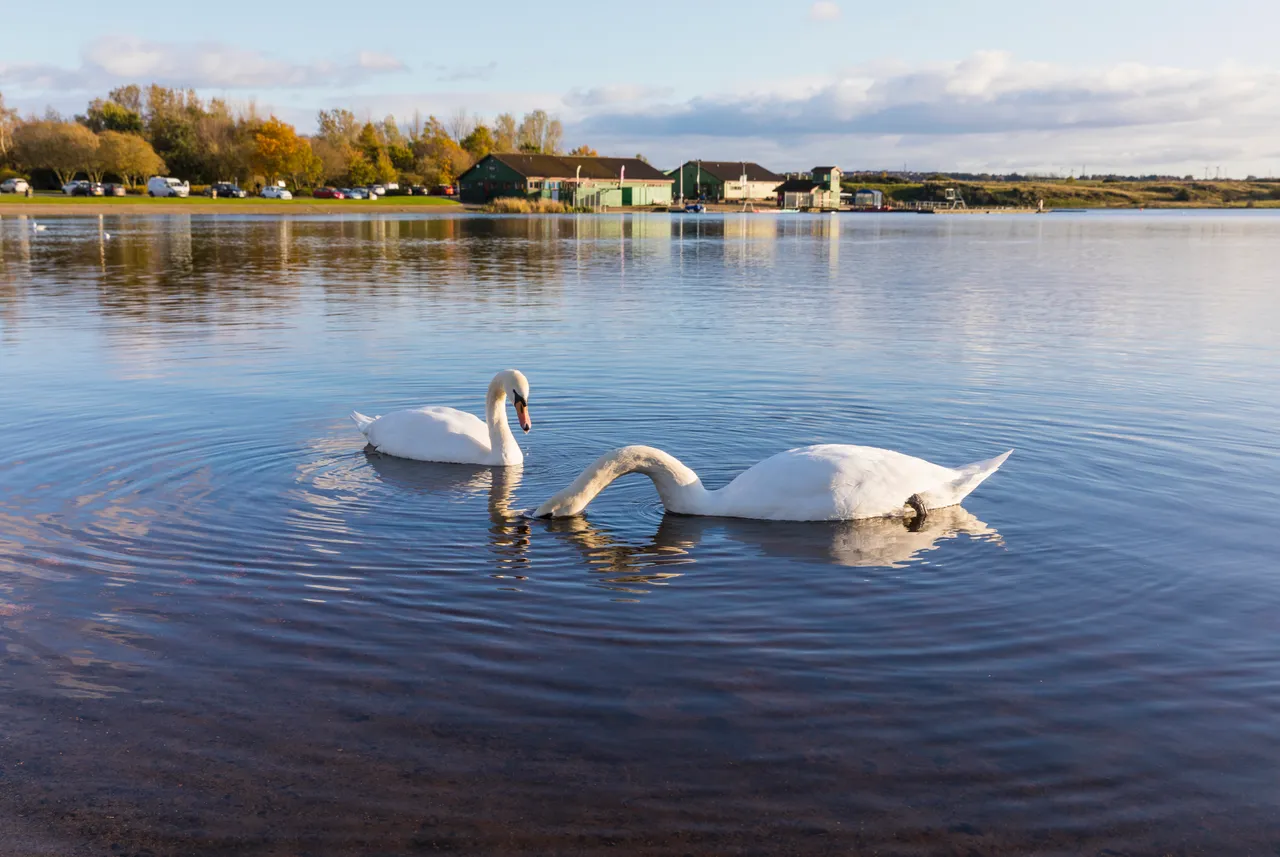 Lochore Meadows Country Park
