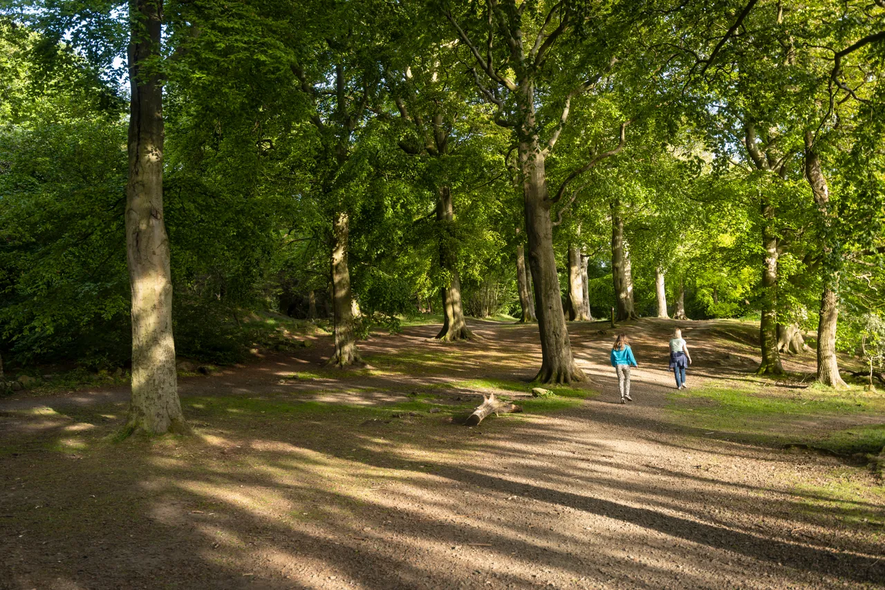 Corstorphine Hill