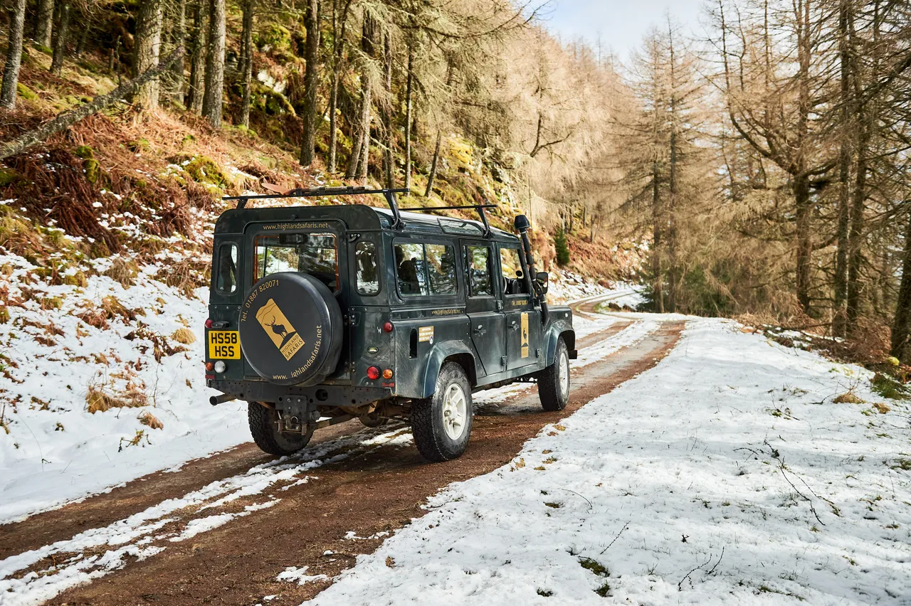Highland Safaris