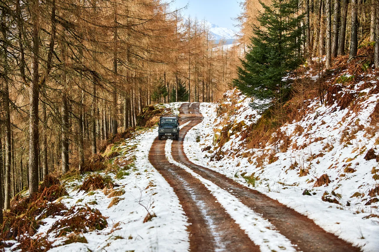 Highland Safaris