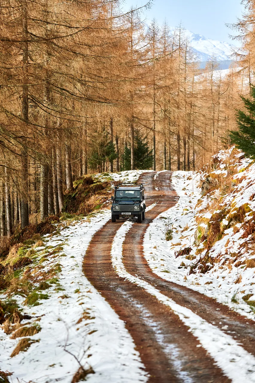 Highland Safaris