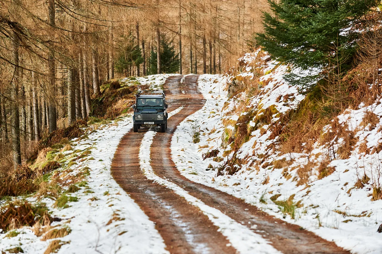 Highland Safaris