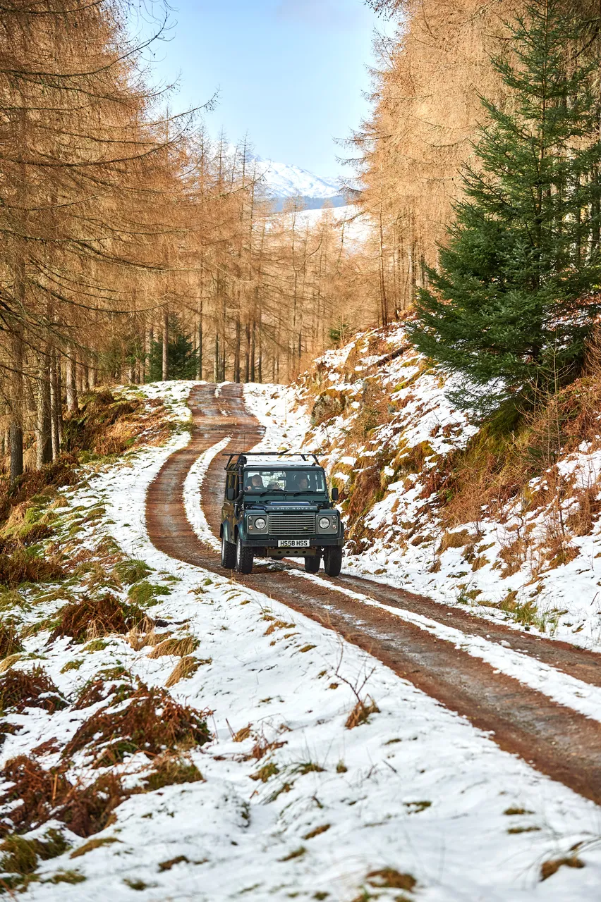 Highland Safaris