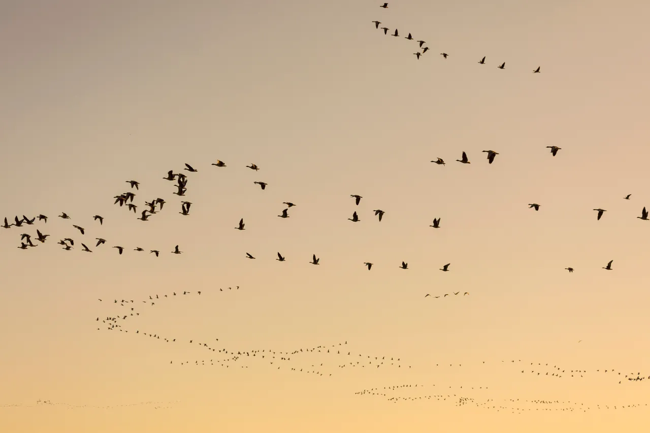 Loch Leven National Nature Reserve