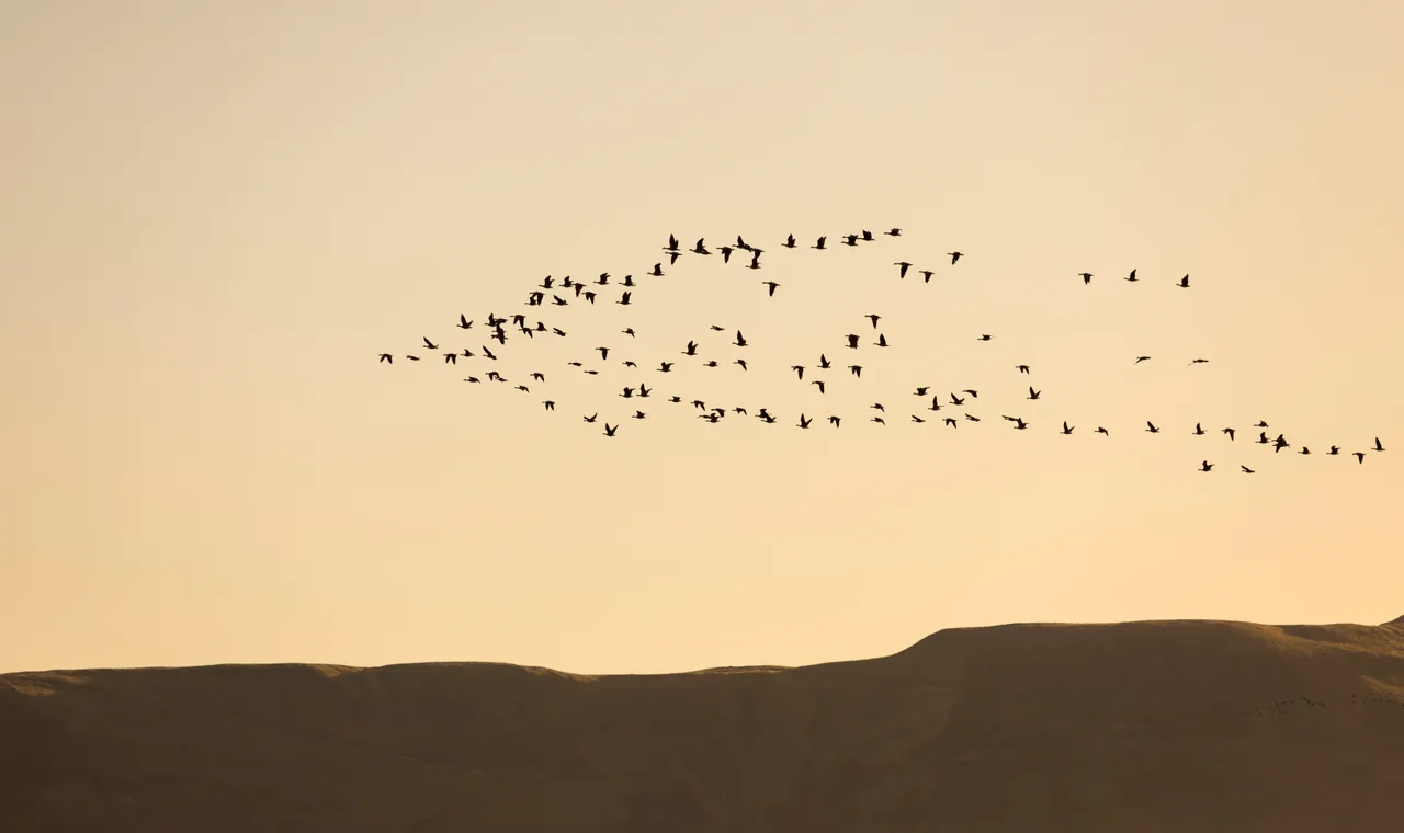 Loch Leven National Nature Reserve