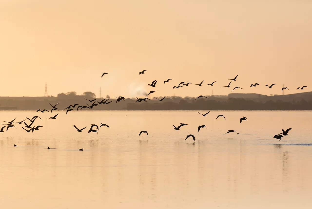 Loch Leven National Nature Reserve