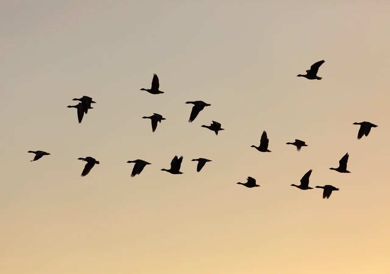 Loch Leven National Nature Reserve