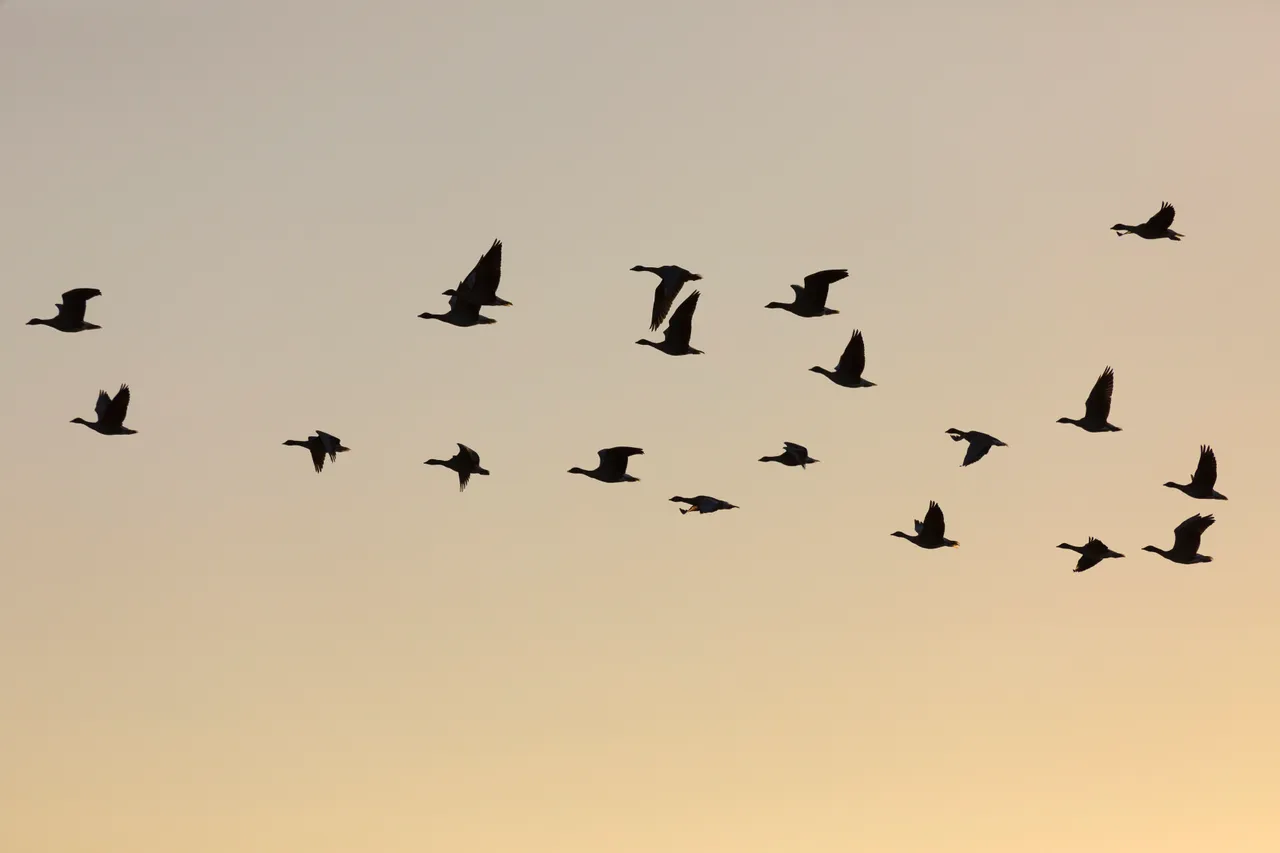 Loch Leven National Nature Reserve