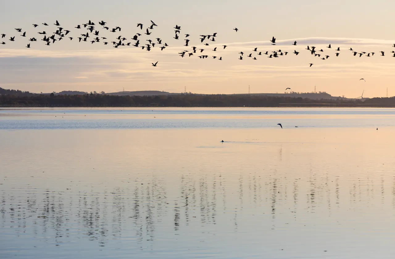 Loch Leven National Nature Reserve