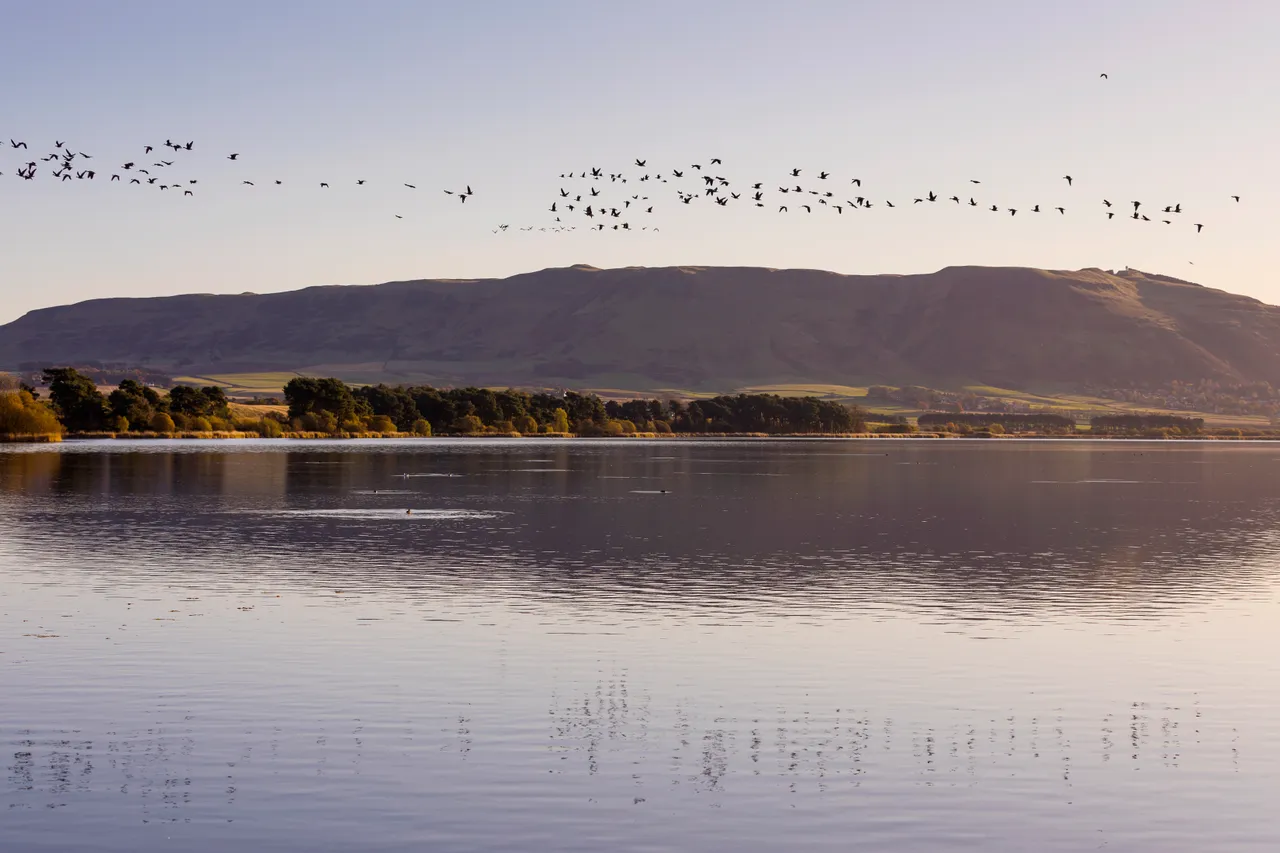 Loch Leven National Nature Reserve
